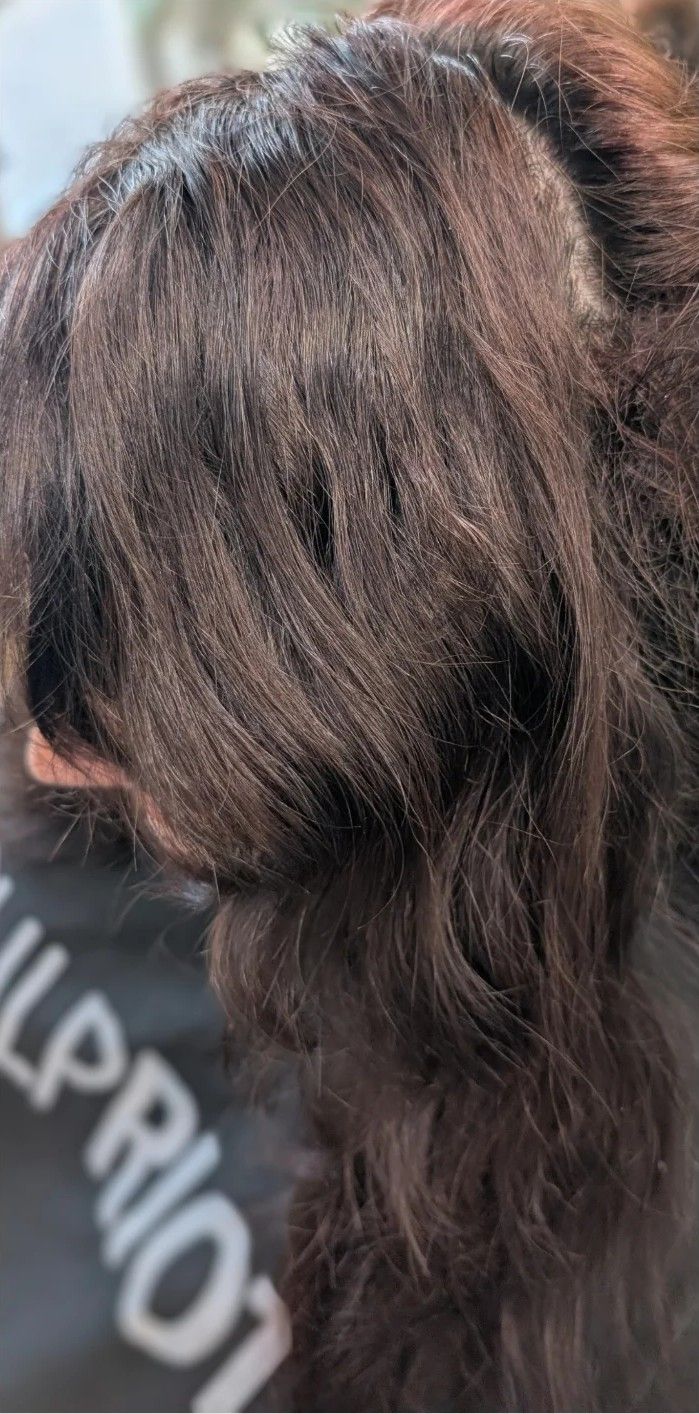 Before: side view of a real client's long, deep brunette hair with no lighter pieces