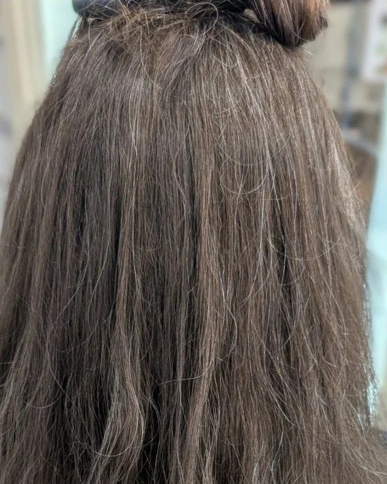 Before photo: long brunette hair seen from behind, gray strands scattered through the crown and down the lengths