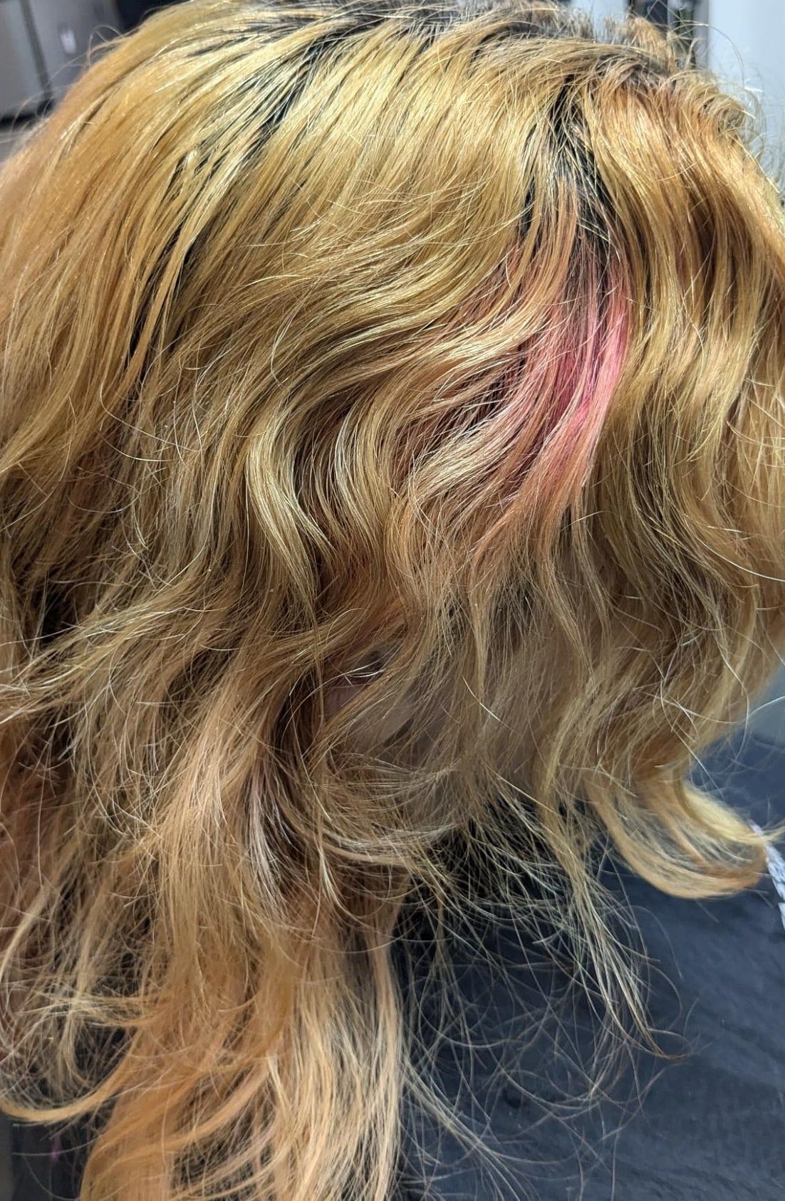 Before: uneven, brassy blonde with darker roots, photographed from behind in the salon